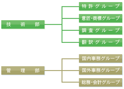 SHINSEI 特許事務所組織図