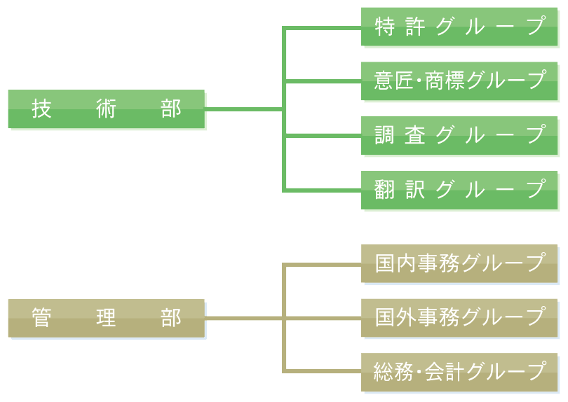 SHINSEI 特許事務所 組織図